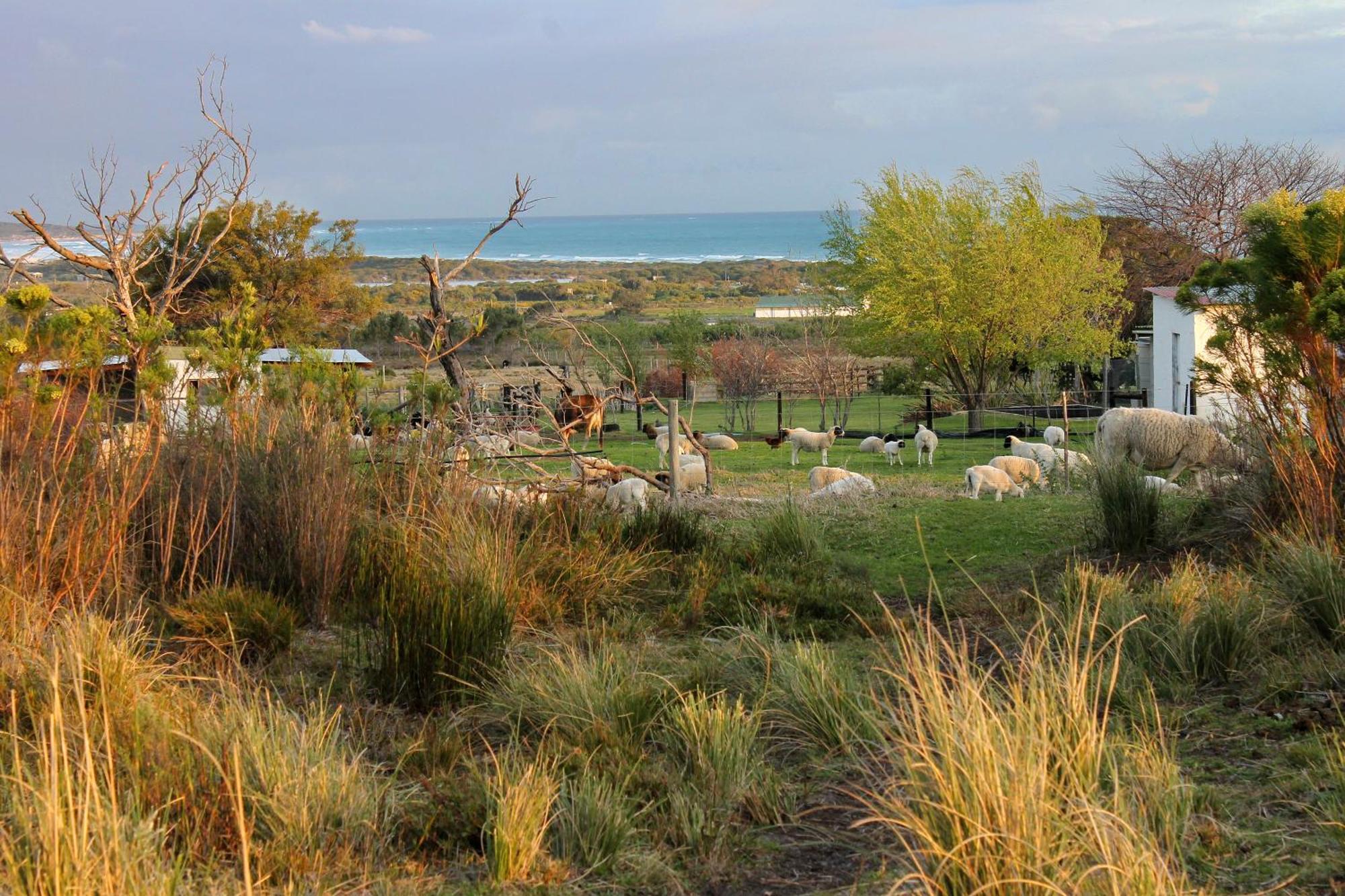 Groeneweide Franskraalstrand Buitenkant foto