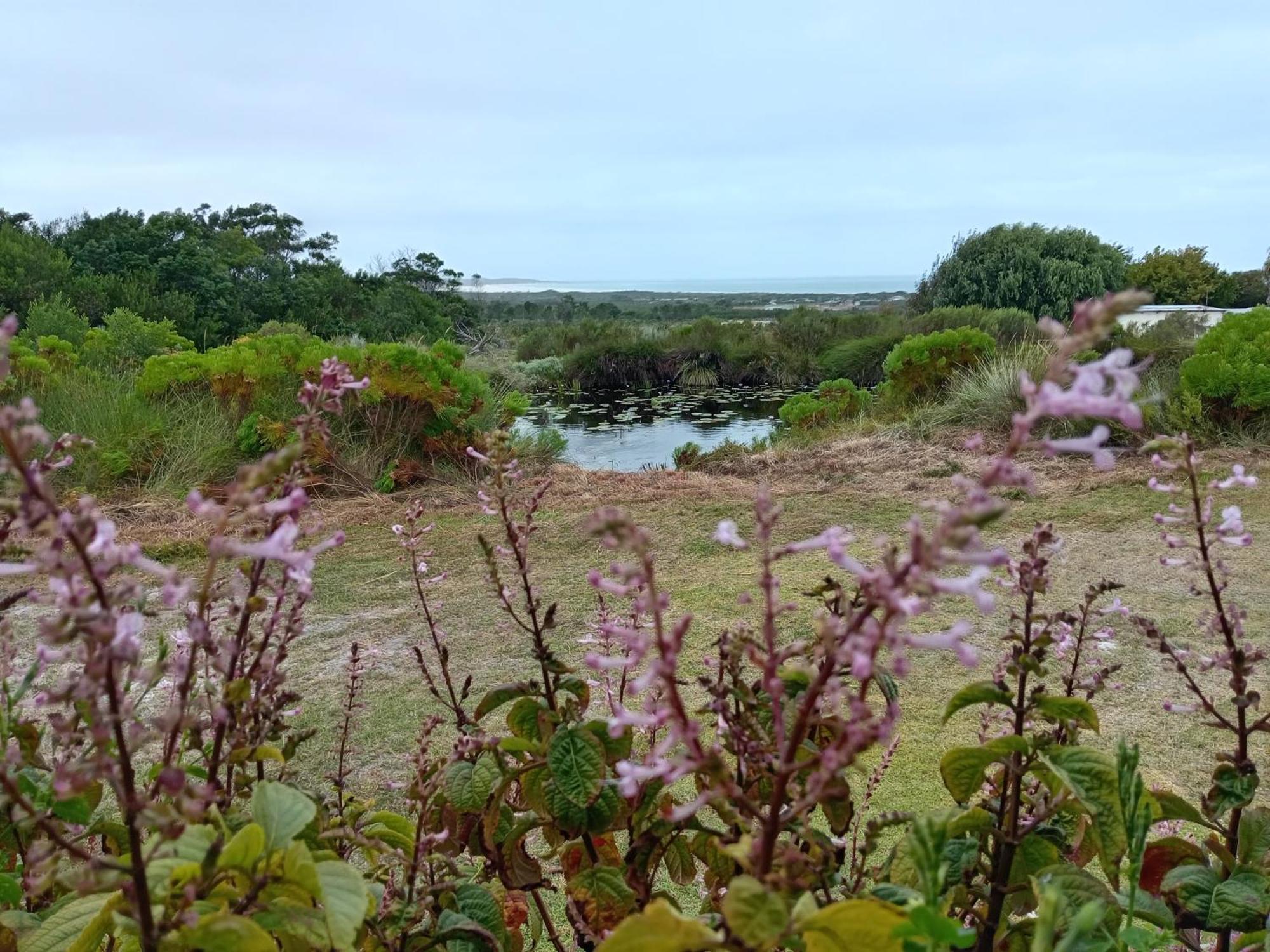 Groeneweide Franskraalstrand Buitenkant foto